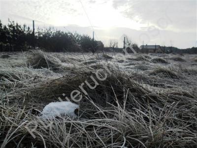 Działka na sprzedaż Trzcinka