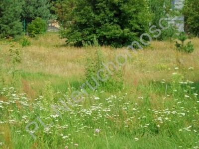 Działka na sprzedaż Nowe Załubice