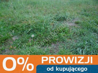 Działka na sprzedaż Ludwinów