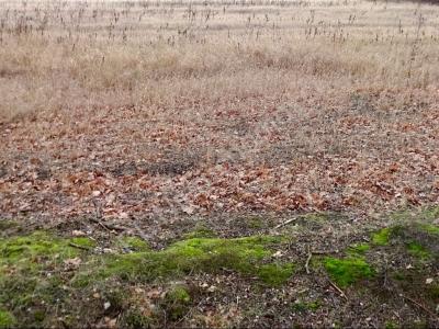 Działka na sprzedaż Rasztów